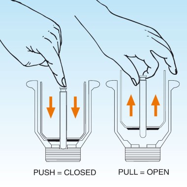 disegnovegetarianapertochiuso